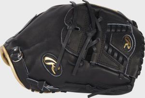 Black Rawlings "Heart of the Hide" baseball fielding glove